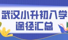 武汉小升初最新爆料,揭秘2023年升学政策与热门学校竞争态势